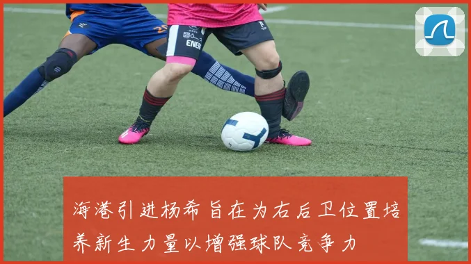 海港引进杨希旨在为右后卫位置培养新生力量以增强球队竞争力